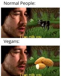 Pin By Tik Tok Star On Memes Really Funny Memes Stupid Funny Memes Funny Memes