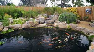 We are on 3 manicured acres, with 9+ display ponds ranging from a 500 gallon pond to a $100.000 27 thousand gallon koi pond. How To Build A Koi Pond Final Youtube