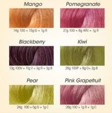 19 Best Lanza Healing Color Images Color Healing Hair Color