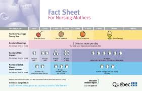 How Often To Nurse And How Long From Tiny Tot To