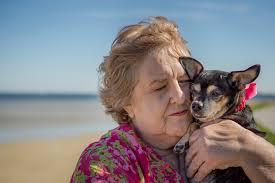 The Divinity of Dogs