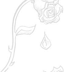 Beauty and the beast rose drawing step by step. Orasnap Drawing Of The Beauty And The Beast Rose