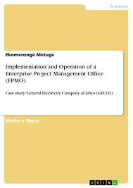 Diplomarbeiten24 De Implementation And Operation Of A Enterprise Project Management Office Epmo