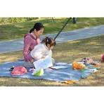 Pocket Picnic Blanket, Sandproof Lightweight Beach Pocket Camping Tarp, Foldable & Fits into Small Bag, Water Resistant Washable Quick Dry Compact Mat ...