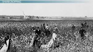 Why Was The Crop Lien System Bad For Small Farmers Study Com