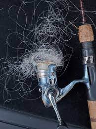 Physical barriers usually work to keep the pigeons from landing or nesting where they are unwanted. Why Does My Fishing Line Keep Unraveling The Ultimate Answer Fishingfather Com