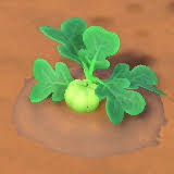 We did not find results for: How To Plant Grow Harvest Pumpkins Farming Guide For Animal Crossing New Horizons