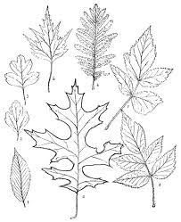 The stove is made from a tp tube and paper egg carton. 22 Free Printable Wood Burning Patterns Easy Pyrography Designs