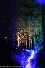 Outdoor Event Lighting By Steve Page Lighting Ltd Www Dundeecentral Co Uk Forest Lighting Event A Garden Event Lighting Outdoor Event Lighting Event Lighting