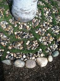 Landscaping With River Rock Best 130 Ideas And Designs In 2020 River Rock Landscaping Rock Garden Design River Rock Garden