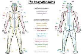 Science Finally Proves Meridians Exist