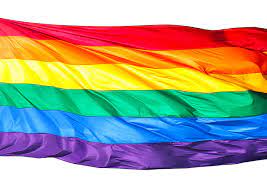 8 piratenpatij regenboogvlag.png 1,672 × 836; Gemeenten Hijsen Regenboogvlag Op Coming Outdag Movisie