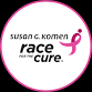 Susan G. Komen Race for the Cure Minnesota event image