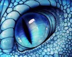 Cross Stitch Butterfly Garden Dragon Eye Dragon Eye Drawing Dragon Drawing