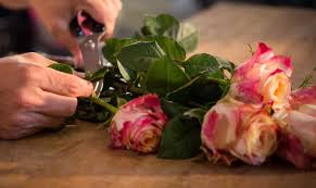 Use this solution instead of plain water for fresh flowers. How To Keep Cut Flowers Fresh 15 Tips For Making Cut Flowers Last