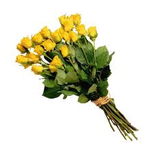 Pngs For Moodboards Yellow Rose Bouquet Yellow Roses Flowers Bouquet