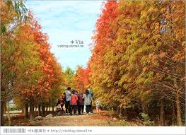 語系 ： 中文(繁體) 中文(简体) english ພາສາລາວ tiếng việt. è½ç¾½æ¾ç§˜å¢ƒ å°ä¸­æ³°å®‰è½ç¾½æ¾æž— éš±è—ç‰ˆ å°±åƒåœ¨åœ‹å¤– æ³°å®‰åœ‹å°è½ç¾½æ¾ç§˜å¢ƒæ£®æž—å¥½å¤¢å¹» Via Sæ—…è¡Œæœ­è¨˜ æ—…éŠç¾Žé£Ÿéƒ¨è½æ ¼