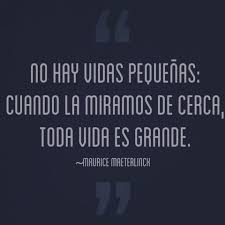 Frases De Amor Frase Tumblr Vida Frases Tumblr Frases Refranes Y Proverbios