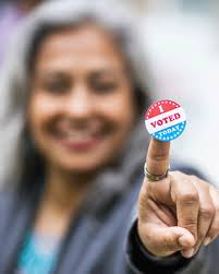 Webinar examines free and fair elections in November