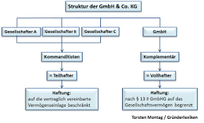 Und letzte kapitel des topthemas „wechsel der steuerschuldnerschaft informiert dazu, wann die umsatzsteuer entsteht, wie richtig abgerechnet. Wie Grundet Man Eine Gmbh Co Kg