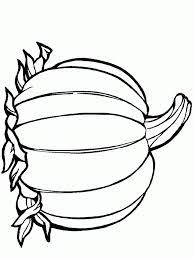 There are still more colors to name. Pumpkin Template Colouring Pages 253543 Blank Pumpkin Coloring Pages Pumpkin Coloring Pages Thanksgiving Coloring Pages Halloween Coloring