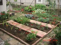 Vegetable Patch Outdoor Landscaping Japanese Garden Garden Living
