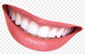 Get inspired by our community of talented artists. Tooth Mouth Teeth Smiling Mouth No Background Hd Png Download 2302x1688 10207 Pngfind