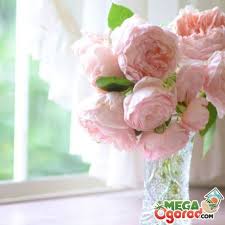 Want to discover art related to peony_flower? Painting Peonies In Every Woman S Bedroom What Do Peonies Mean Peonies In The Interior