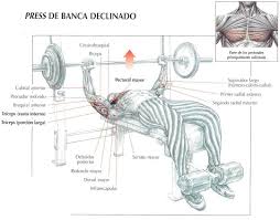 Pin En Ejercicios