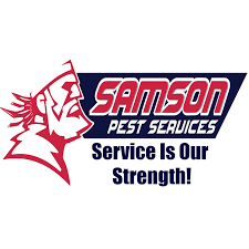 We bought the quarterly maintenance plan as well because of how amazing the work was. Advanced Maintenance And Pest Solutions Home Facebook