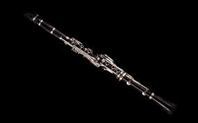 It includes instruments of various sizes, such as the piccolo clarinet (or octave clarinet), alto clarinet, bass clarinet, and contrabass. Clarinet Philharmonia