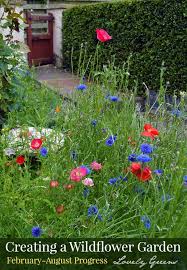 How To Grow A Wildflower Cottage Garden Lovely Greens Wildflower Garden Beautiful Flowers Garden Flower Garden Design