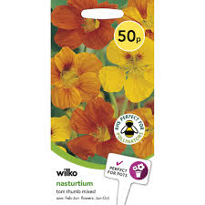 Maybe you would like to learn more about one of these? Wilko Nasturtium Tom Thumb Flower Seeds Wilko