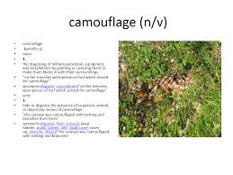 Camouflage Camouflage Camouflage Meaning Vocabulary Cards