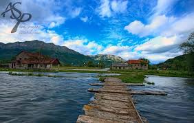 Dijaspora Plav Gusinje Home Facebook