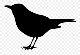 Black Bird Clip Art Blackbird Silhouette Png Download 90047 Pinclipart Don't forget the splashes of colour. black bird clip art blackbird