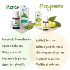 Menta Y Bergamota Aceite De Bergamota Aceites Esenciales De Menta Just Productos