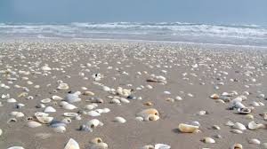 However, there is … / read more » /. 15 Best Beaches In Texas The Crazy Tourist