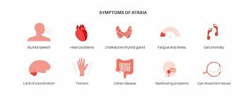 Image result for Ataxia