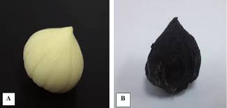 The entire garlic is called a 'head' or 'knob.' each small, individual segment of a garlic head is the garlic clove, which is also white. Single Clove Garlic Atypical Product Of Garlic Bulb Forming Process Download Scientific Diagram