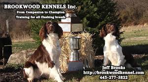 We did not find results for: Breeders Page English Springer Spaniel Field Trialsenglish Springer Spaniel Field Trials