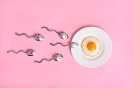 Befruchtung Die 7 Haufigsten Mythen Uber Den Eisprung Gesundheitstrends