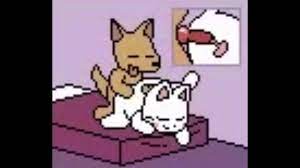 Dog x cat porn