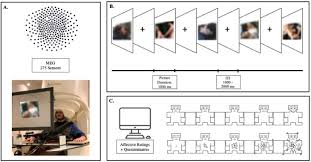 Magnetoencephalographic correlates of pornography consumption: Associations  with indicators of compulsive sexual behaviors | International Journal of  Clinical and Health Psychology