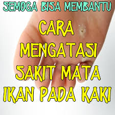 Terima kasih telah meluangkan waktunya untuk membaca postingan sederhana ini. Cara Mengatasi Sakit Mata Ikan Pada Kaki AplicaÈ›ii Pe Google Play