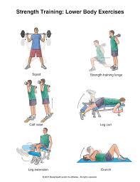 Lower Body Lower Body Workout Lower Body Exercise