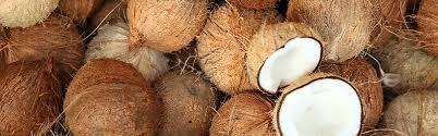 In contrast, coconut oil exports increased marketedly. Coconut Produce Blue Book