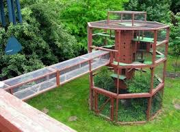 Yuk, lanngsung aja cek hiasan rumah kreatif pernahkah kamu berpikir untuk mempercantik rumah sendiri? 27 Ide Rumah Kucing Rumah Kucing Kucing Kandang Kucing