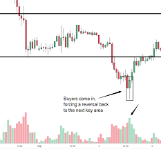 Instead, what you'll get are educational videos on price action trading, stocks, forex, and technical analysis. Why Is Tick Volume Important To Monitor In The Forex Market By Global Prime Forex Medium