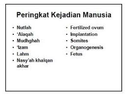 Di dalam al quran proses penciptaan manusia terjadi dengan dua tahapan yang berbeda. Facebook